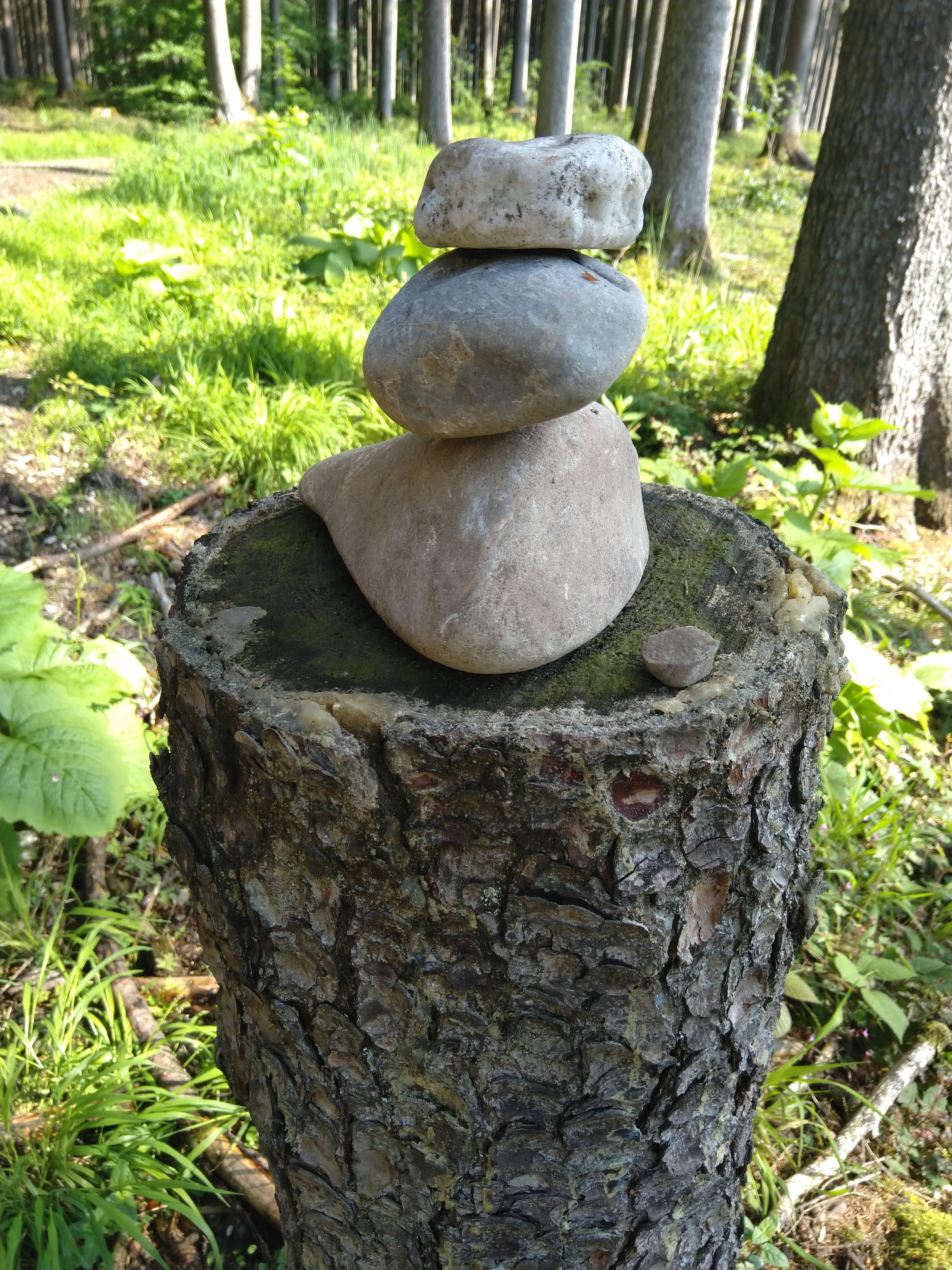 Balancesteine auf einem Baumstumpf — Symbol für Gleichgewicht und Reflexion